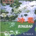 张家川回族自治县好玩的地方